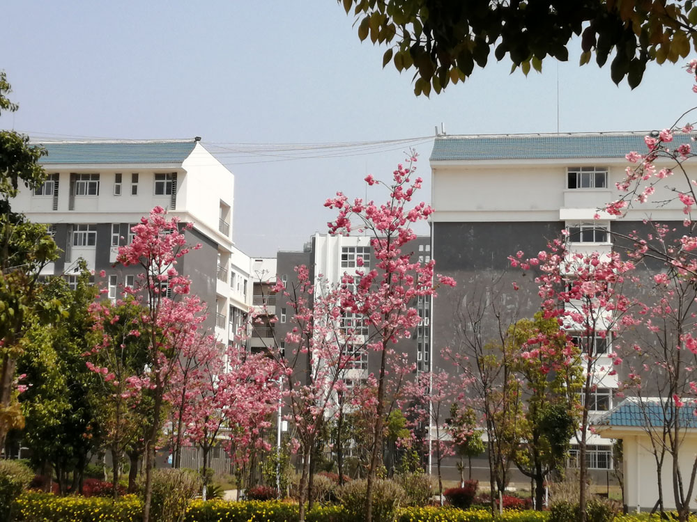 保山中等專業學校新校區(保山高級技工學校)